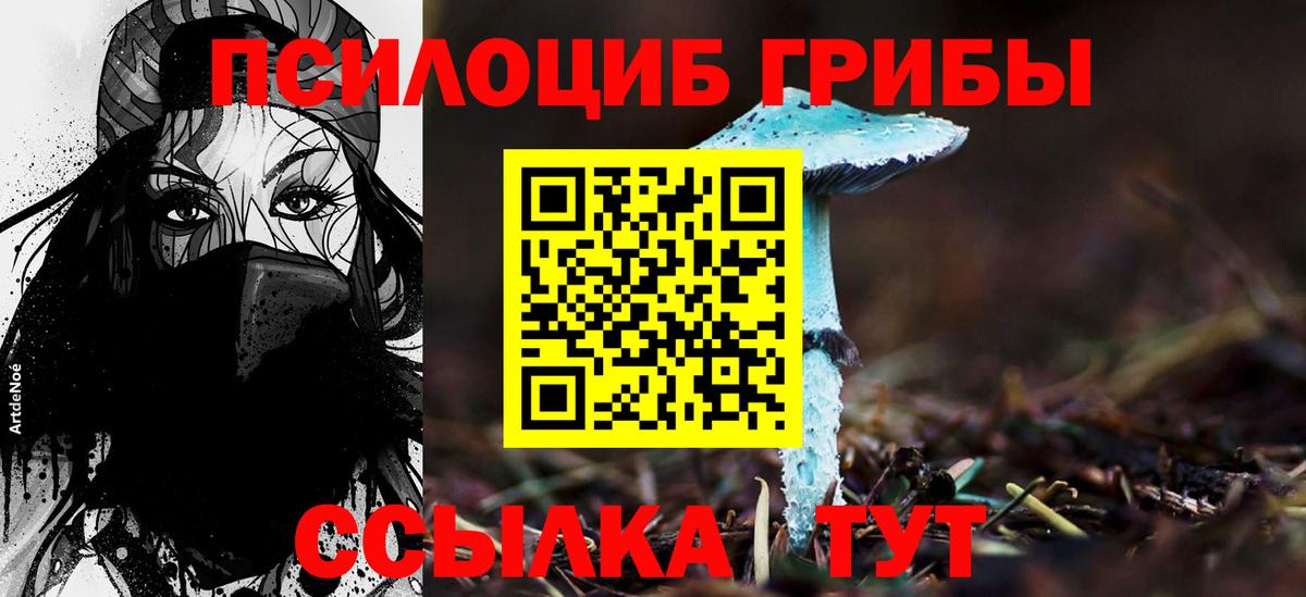 Галлюциногенные грибы прущие грибы  Псилоцибиновые грибы MAGIC MUSHROOMS  Вход с VPN  Грозный 